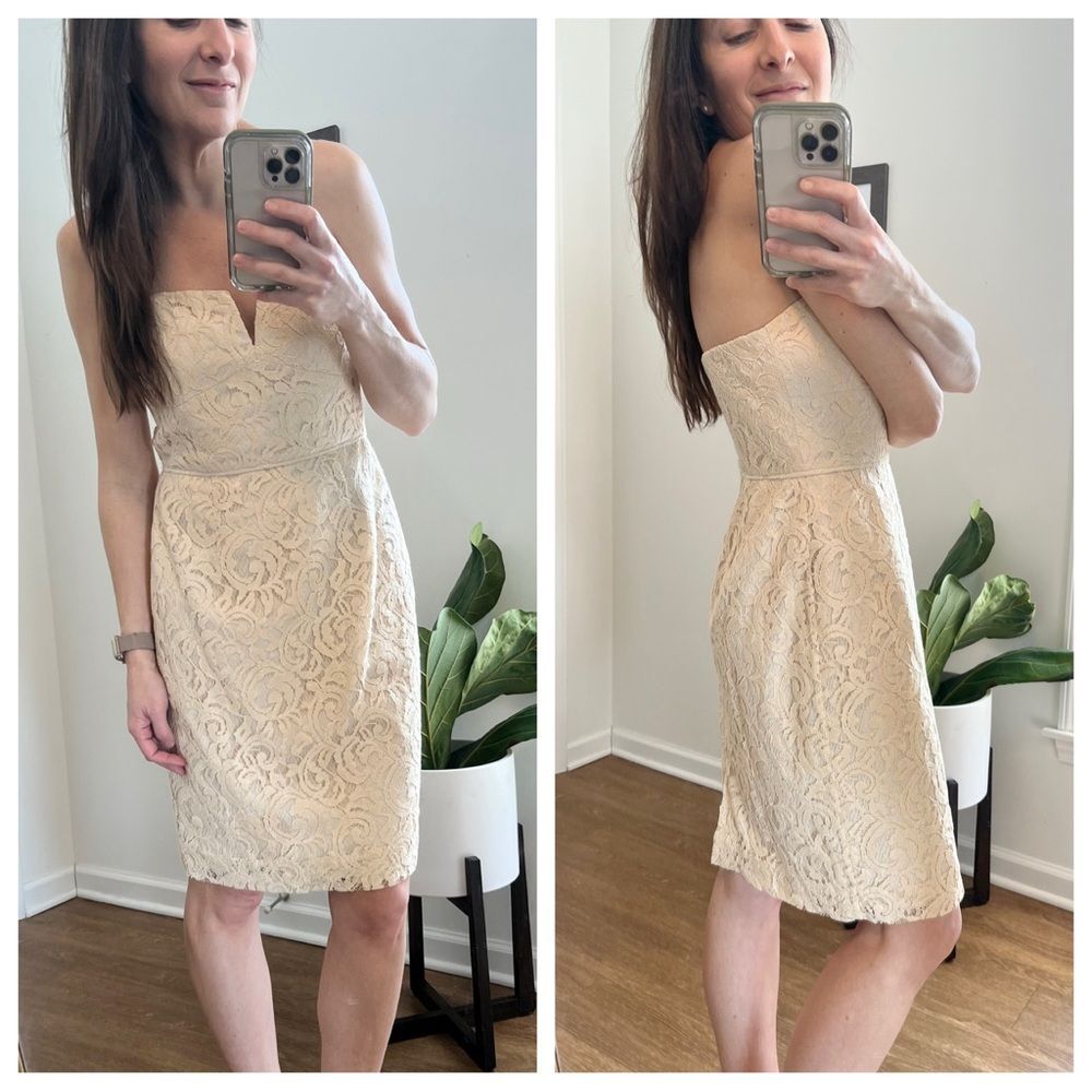 J.Crew Cathleen Strapless Dress in Leavers Lace